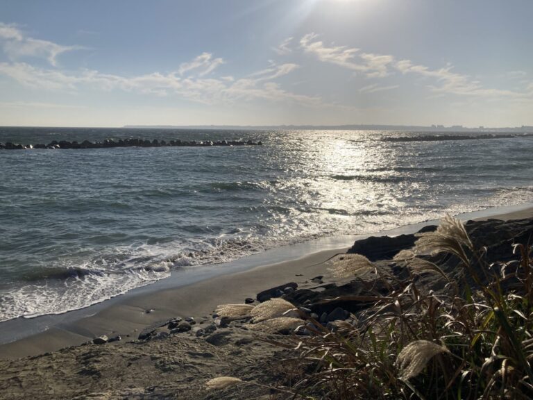 月曜日 シェケレ/コンガ・クラス