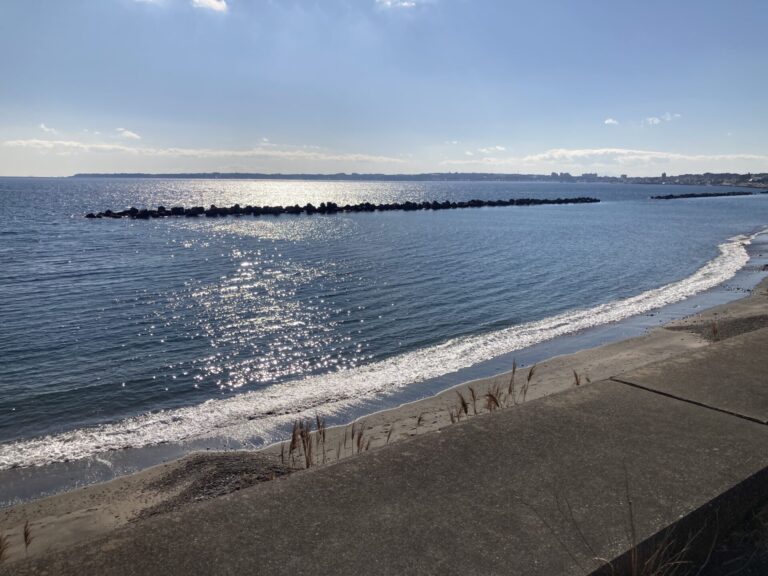 月曜日 シェケレ用コンガ・クラス