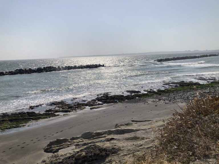 月曜日 シェケレ/コンガ・クラス