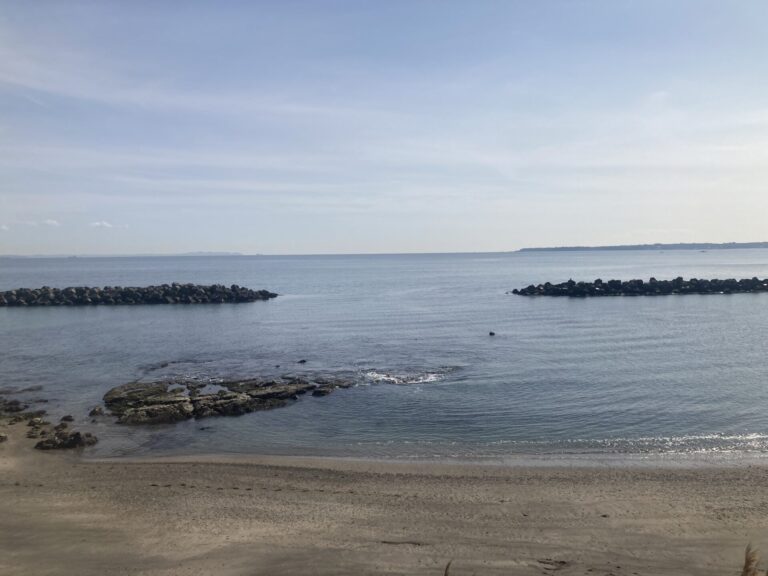 月曜日 シェケレ/コンガ・クラス