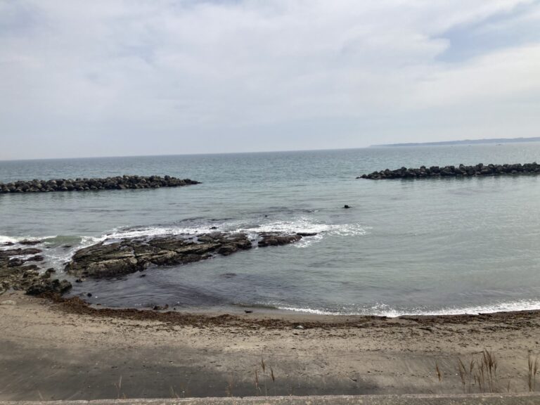 月曜日 シェケレ用コンガ・クラス