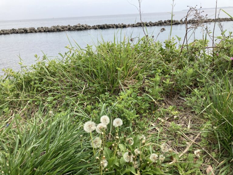 月曜日 シェケレ/コンガ・クラス